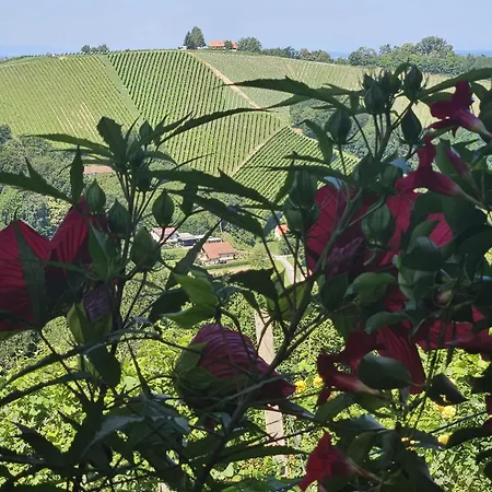 Agroturism Jures Smještaj na farmi *