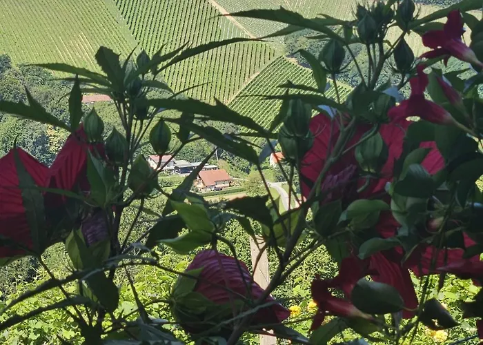 Agroturism Jures مزرعة للإقامة *