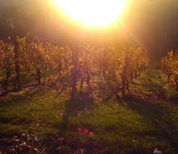 Agroturism Jures مزرعة للإقامة